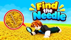 Find the Needle