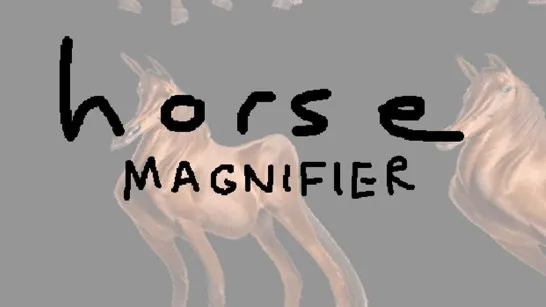 Play Horse Magnifier game