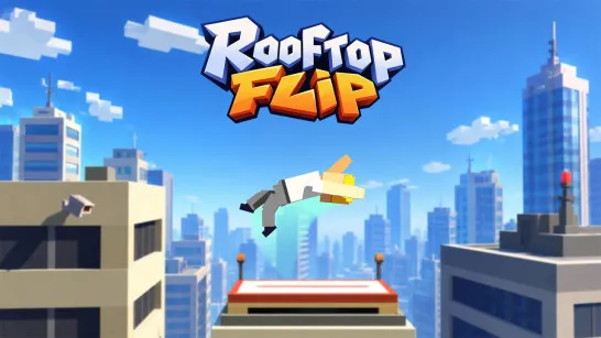 Rooftop Flip image