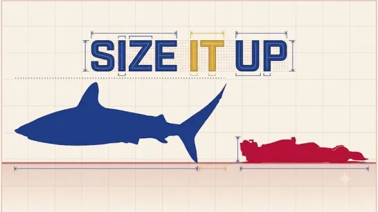 Size it Up image