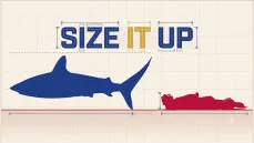 Size it Up